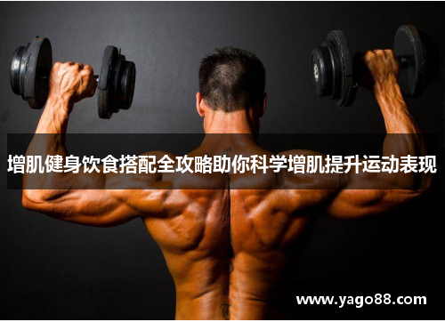 增肌健身饮食搭配全攻略助你科学增肌提升运动表现